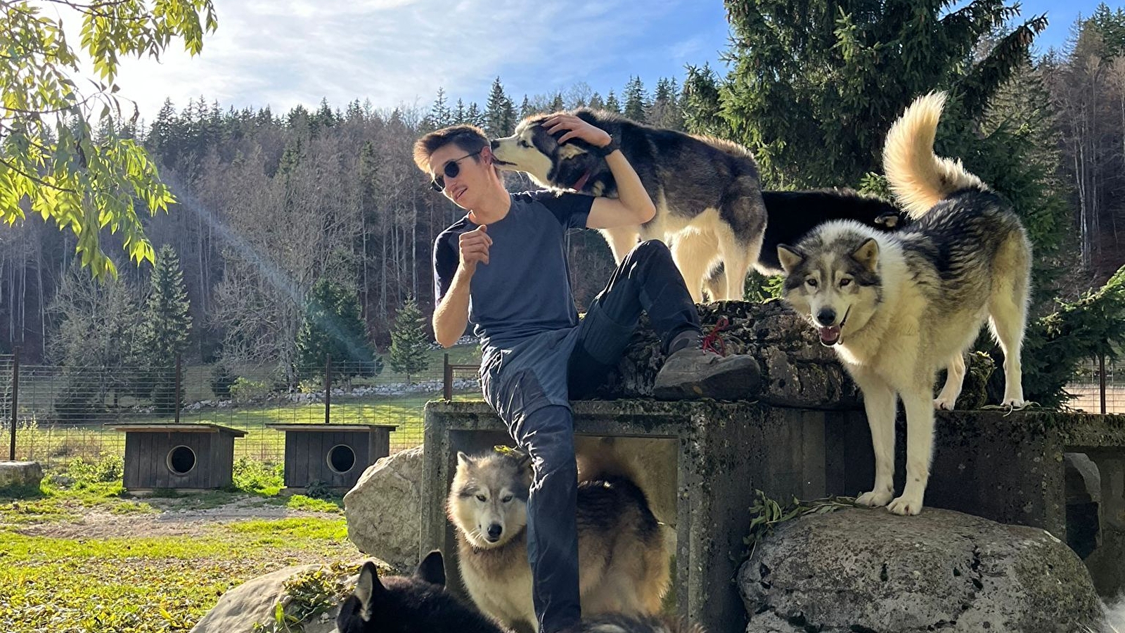 Visite commentée de notre meute 