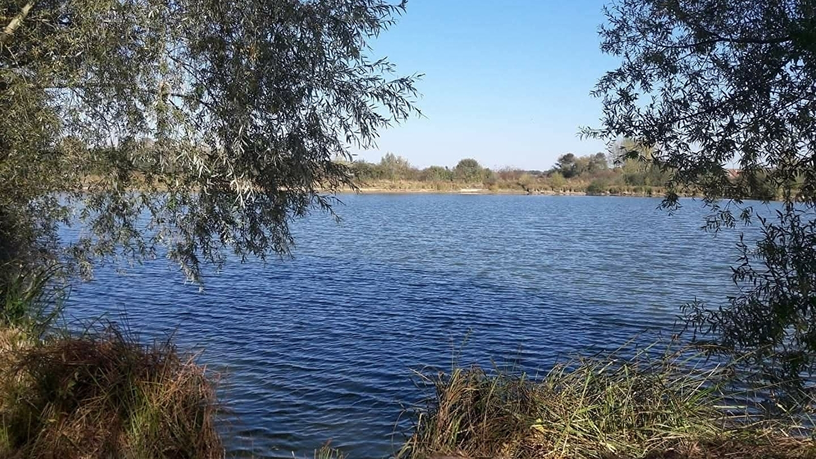 Visite de le gravière des Prés Bourrés à Vielverge_ENS2026