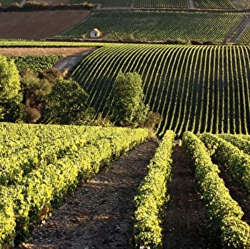 Vitteaut-Alberti - RULLY