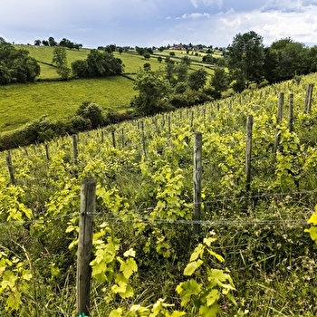 Circuit des trois vallons - MAILLY