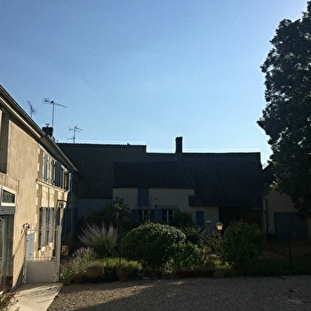 Le Vieux Tilleul - LINDRY