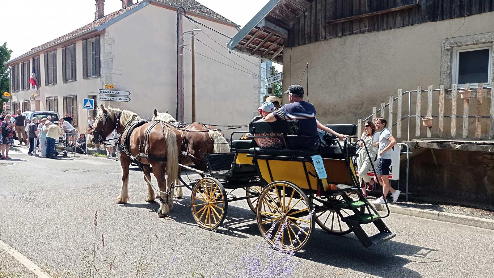 Balade en Calèche - Mors Attelage