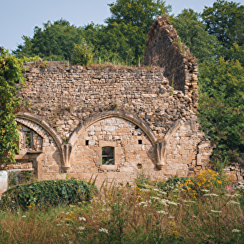 Vestiges du palais abbatial de l'abbaye de Cherlieu  - MONTIGNY-LES-CHERLIEU