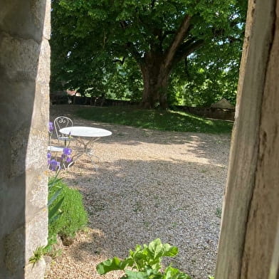 La Plante - Le Logis du Tilleul