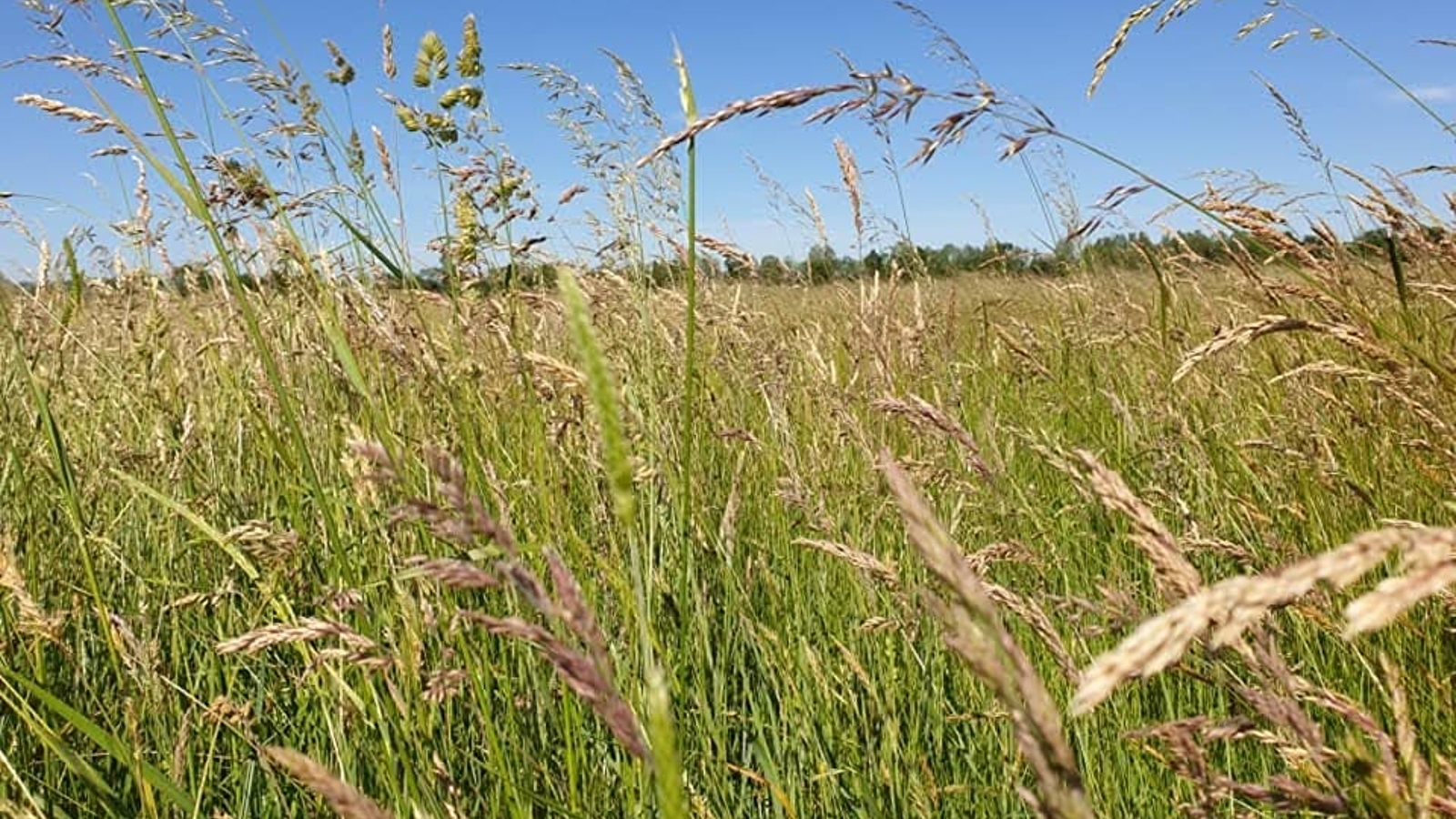 Agriculture et environnement, visite d'une parcelle agricole respectueuse de l'environnement_ENS2026