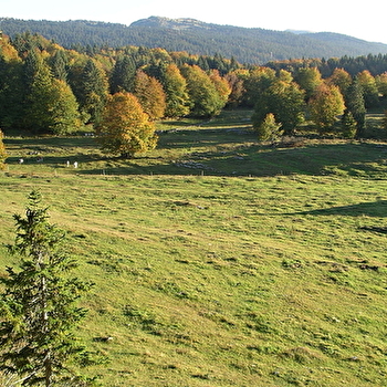 Sentier de la forêt du Massacre - LAJOUX