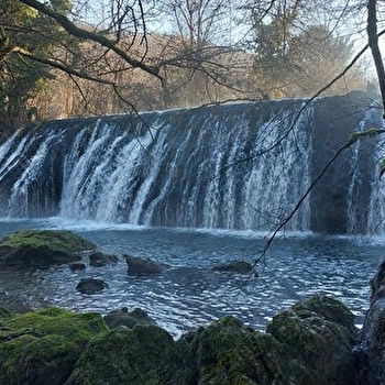 Le Dérochoir - ARBOIS