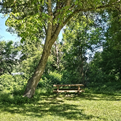Aire de pique en bord de Loire