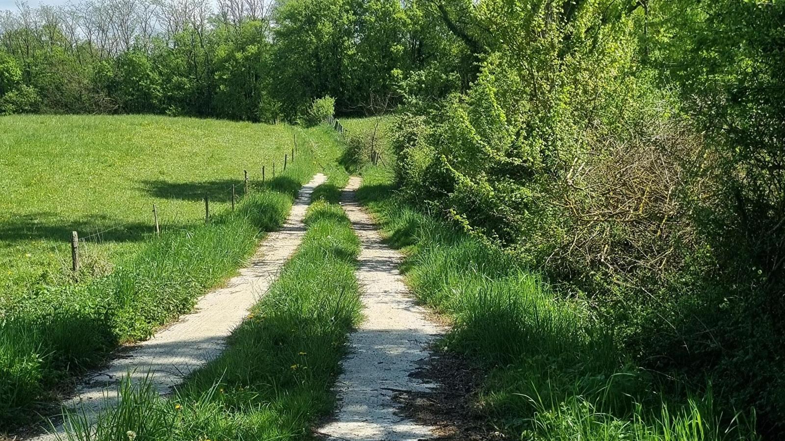 Circuit VTT-VTC n°25 (rouge) Comté de Montrevel - Domaine du Sougey