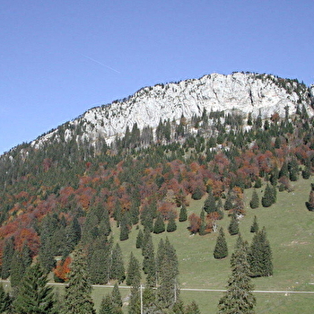 Les Aiguilles de Baulmes - n°22 - JOUGNE