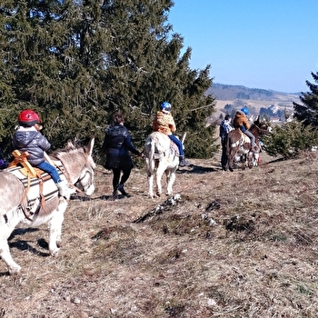 Genti’Ânes du Haut Doubs - CHAUX-NEUVE