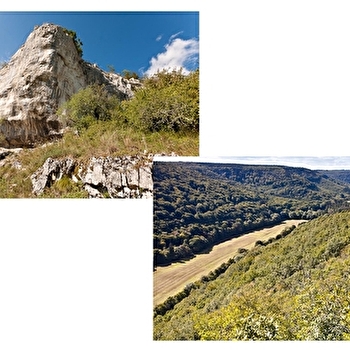 Le Bouton d'Or - MESSIGNY-ET-VANTOUX