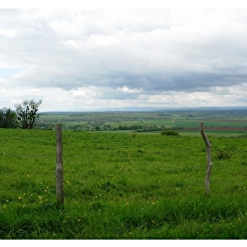 Montagne de Venarey - VENAREY-LES-LAUMES