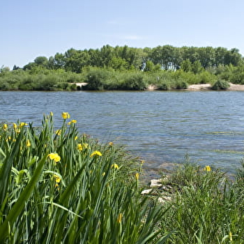 La Véloire - MONTROND-LES-BAINS