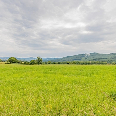 Gîte de la Brosse Ronde