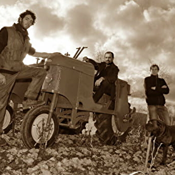 Domaine Michel Redde et Fils - SAINT-ANDELAIN