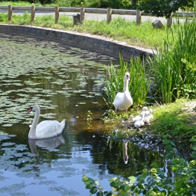 Chambre d'hôtes Château de Villeron