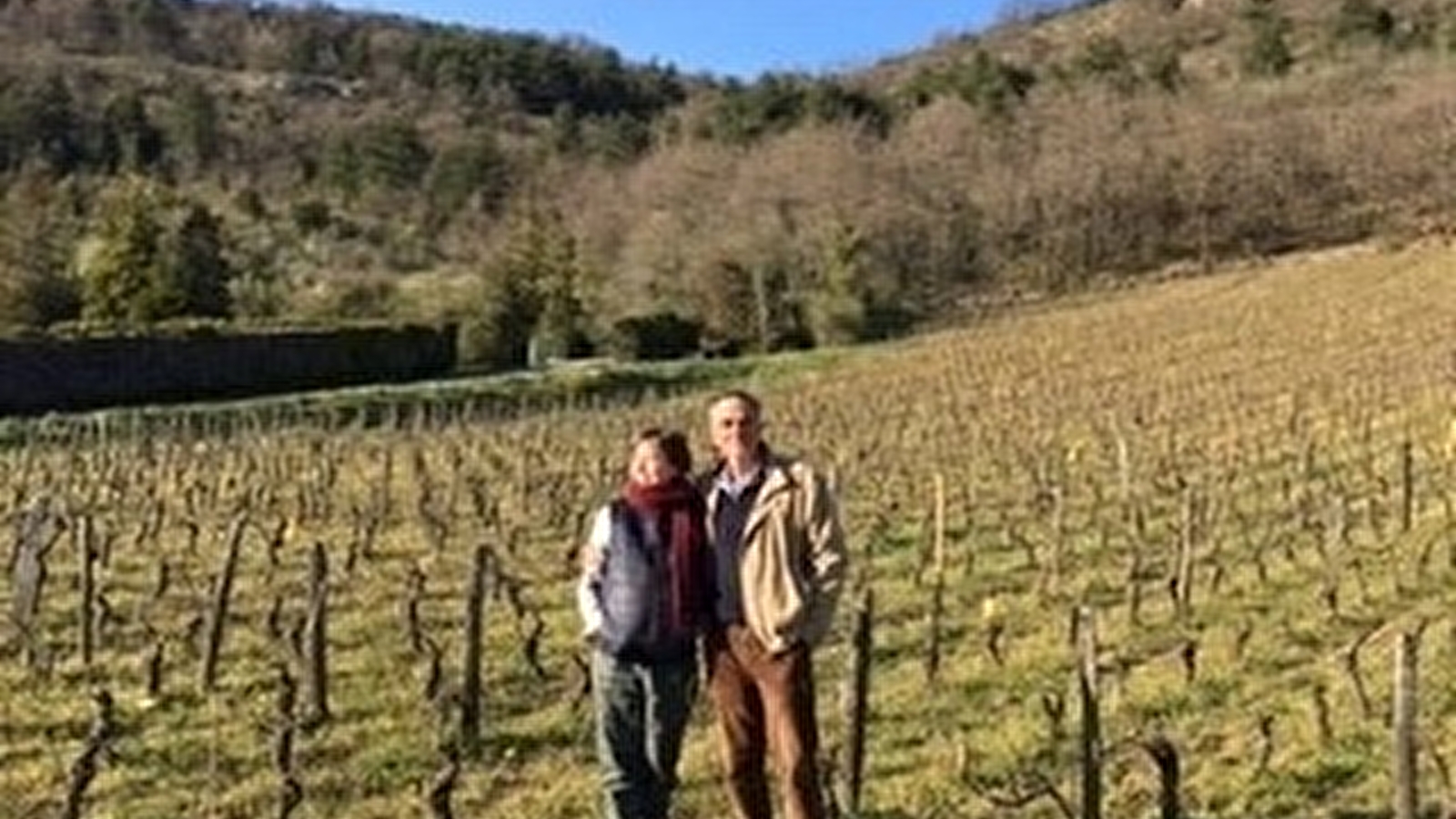 Domaine Clos Saint Jean Oenotourisme