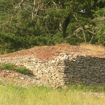 Camp de Myard - VITTEAUX