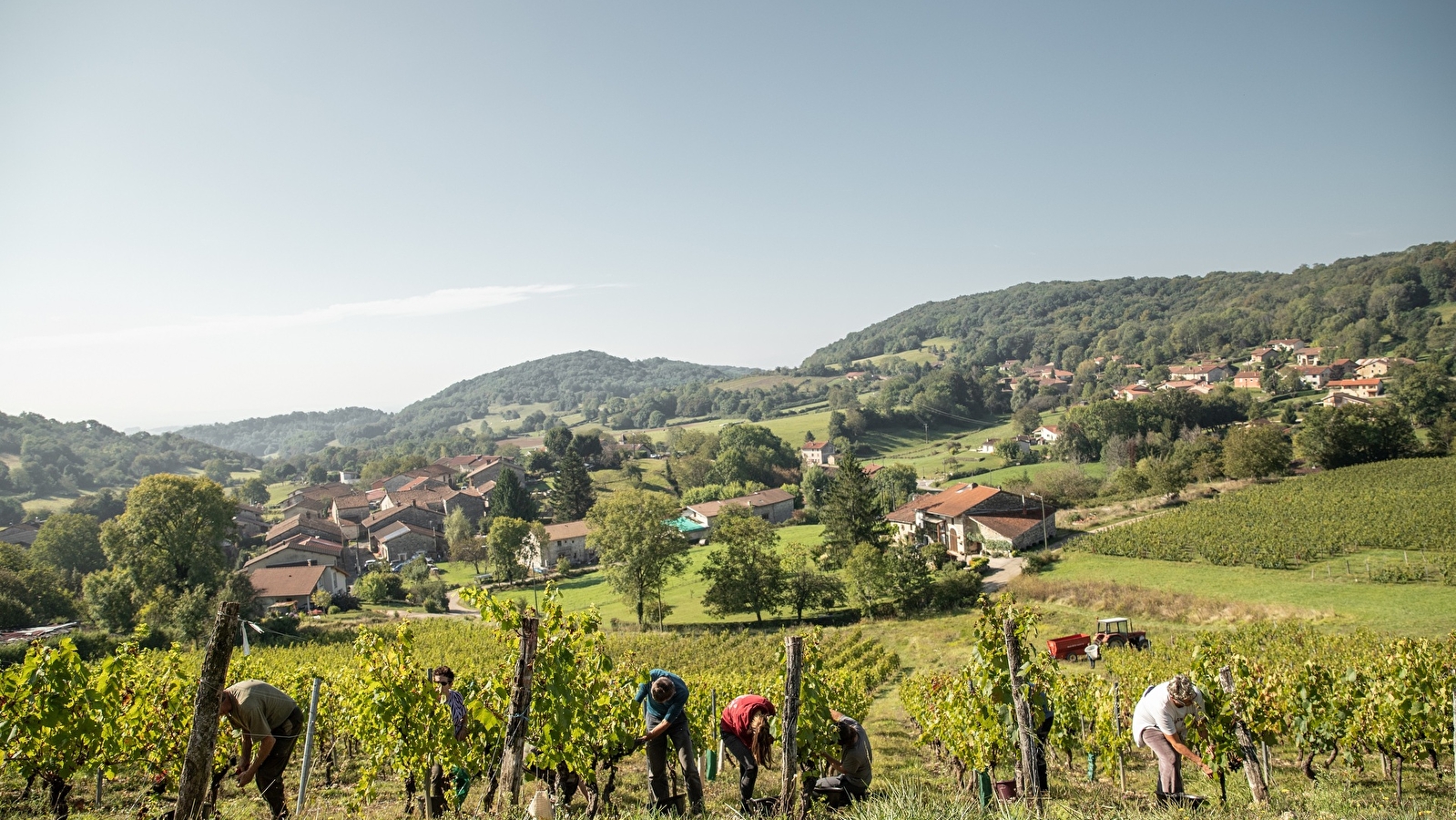 Randonnée - Vignoble du Revermont