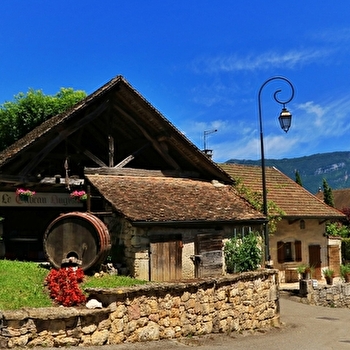 Circuit vélo : Vignobles du Bugey - MASSIGNIEU-DE-RIVES