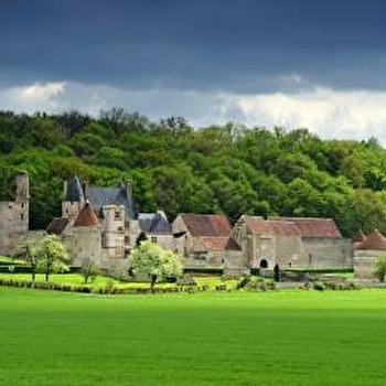 Château de Faulin - LICHERES-SUR-YONNE