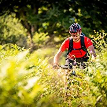 La Combe Dijon - 85B - NANCHEZ