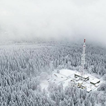 Circuit de randonnée : Boucle du bois du Roy - ARLEUF