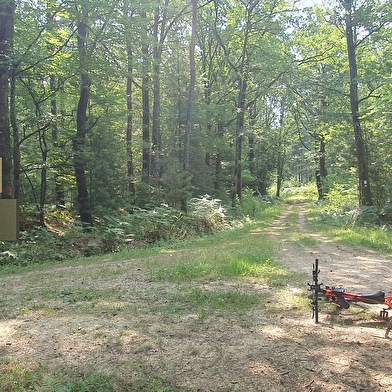 Circuit Gravel n°6 (rouge) Chemins des bois de Bresse