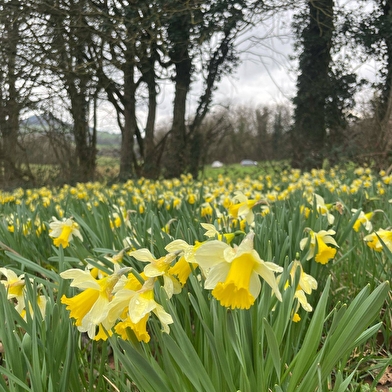 Elie PERNOT - Animateur & guide nature