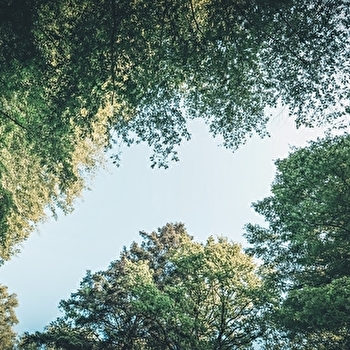 En famille au musée : les lignes de la nature - PIERRE-DE-BRESSE