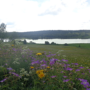 Belvédère sur les Lacs - BELLEFONTAINE