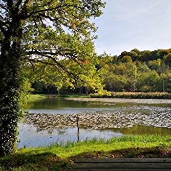 Sentiers de Chaumour - SAINT-REMY