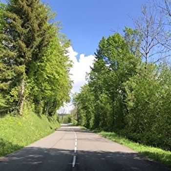 Circuit vélo : Col de la Rochette et col de la Lèbe - VIRIEU-LE-GRAND