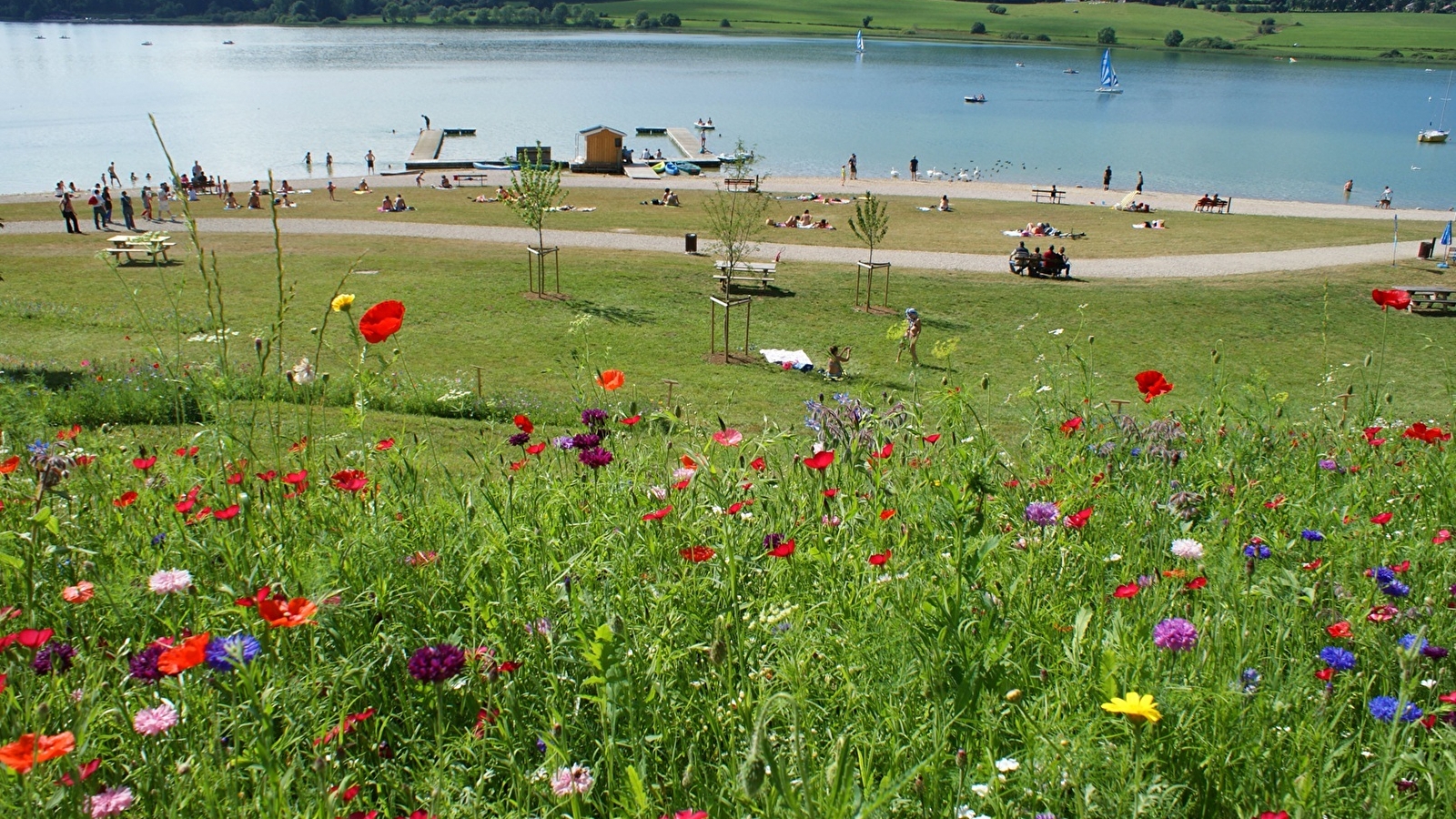 Baignade au Lac de Saint-Point
