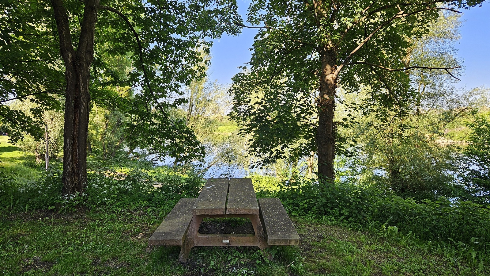 Aire de pique en bord de Loire