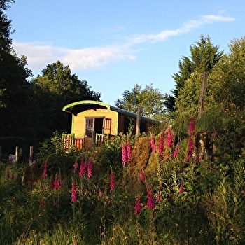 Roulotte Le Chêne - vue sur le lac - MOUX-EN-MORVAN