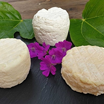 La Ferme de la Chassagne - LAIZY