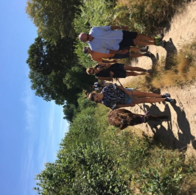 Les Ânes de Vincent