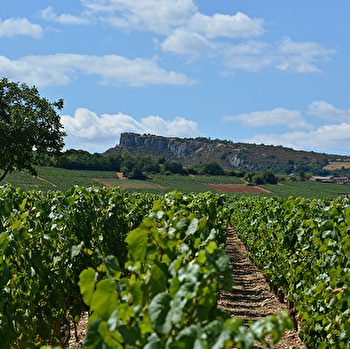 Cinier Sophie - FUISSE