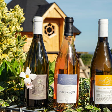 Visite guidée du Domaine Joseph Lafarge