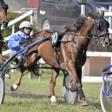 Courses hippiques - Trot
