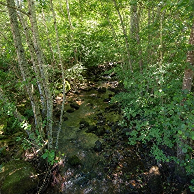 Gîte du Pont d'Ajoux