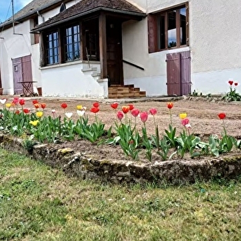 LES TULIPES - LIERNAIS