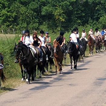 Poney Club - Eperon de Lantilly - CERVON