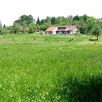 Gîte rural - SERVANCE-MIELLIN