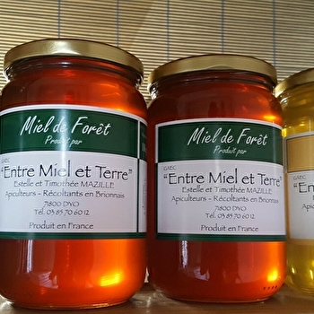 Entre Miel et Terre - DYO
