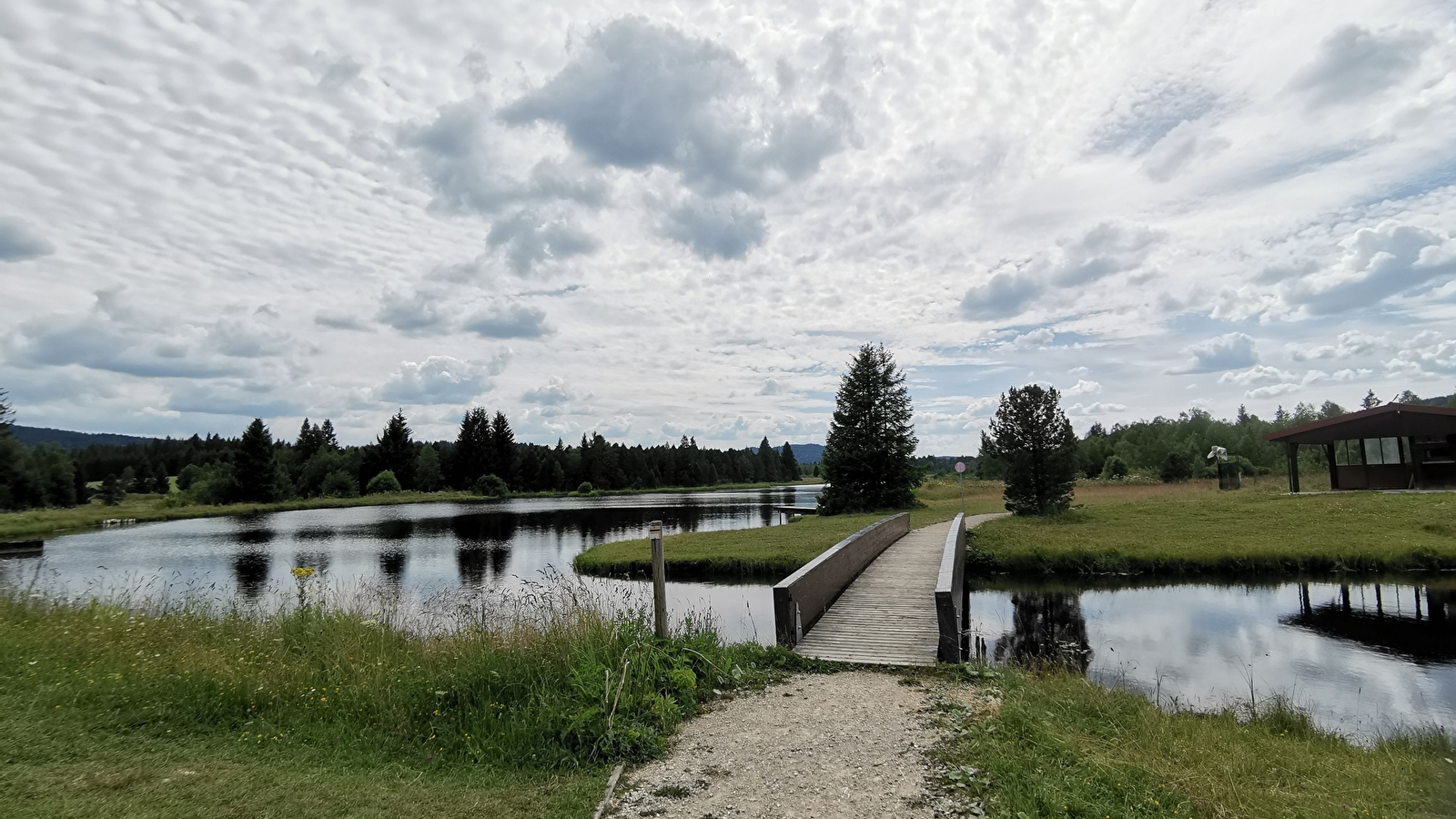 Les Belles Seignes - n° 51A