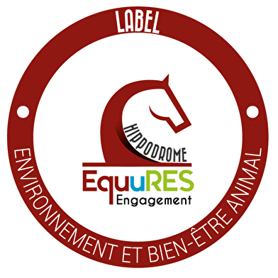 Courses hippiques - Tout galop