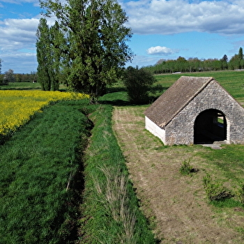 Un maïs au coeur d'artichaut - ALLERIOT